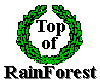 Top of RainForest