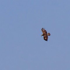 IMG_5049