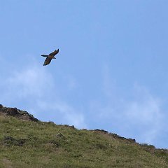 IMG_4917