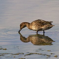 IMG_1045