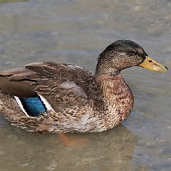 IMG_9943