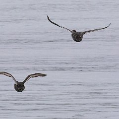 IMG_2785