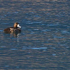 IMG_5404