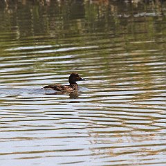 IMG_0512