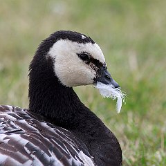 IMG_5449
