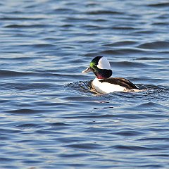 IMG_7640