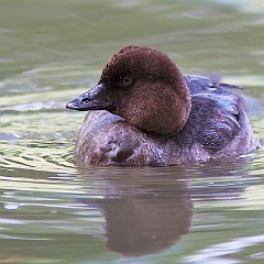 IMG_5388