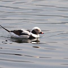 IMG_3758
