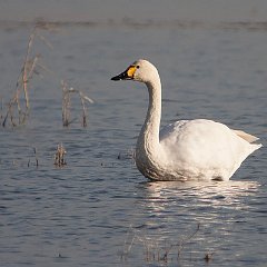 IMG_3025