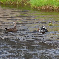 IMG_5120