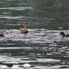 IMG_1834