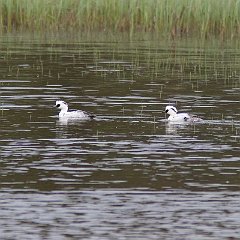 IMG_1404