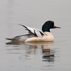 IMG_2574