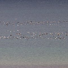 IMG_3188