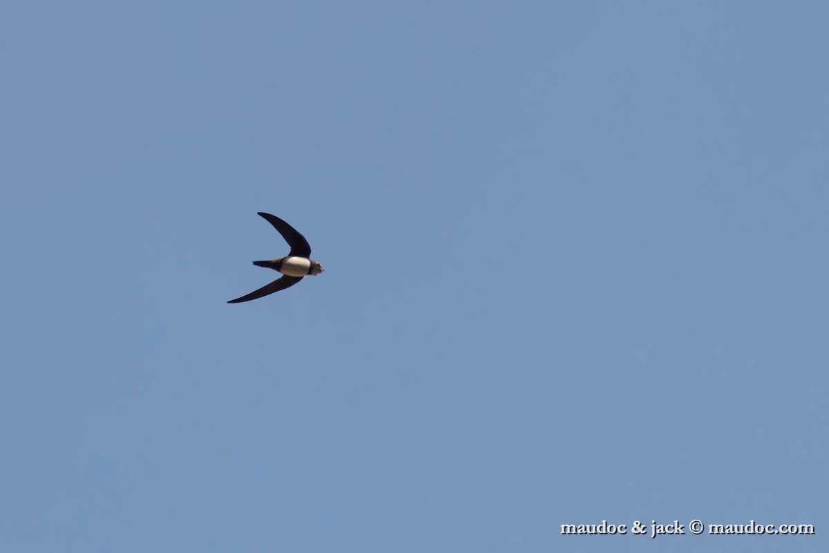 IMG_7589.jpg