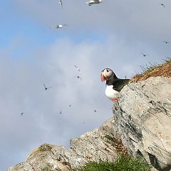IMG_2000