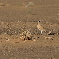 IMG_9276