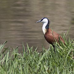 IMG_0512