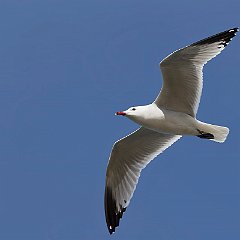 IMG_3512
