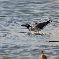 IMG_1251