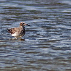 IMG_1258