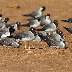 IMG_1266