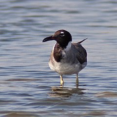 IMG_1336