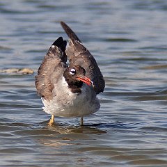 IMG_1339