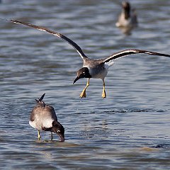 IMG_1344