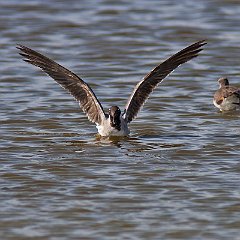 IMG_1350