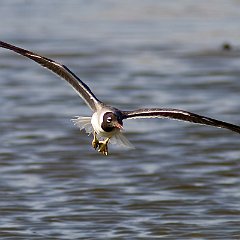 IMG_1364
