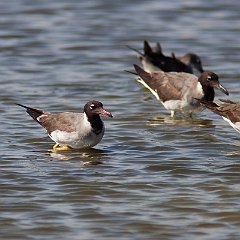 IMG_1372