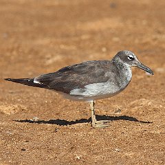 IMG_1428
