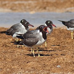 IMG_1440