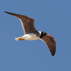 IMG_5379