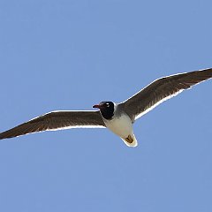 IMG_5418