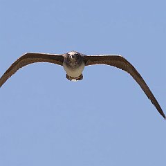 IMG_5436