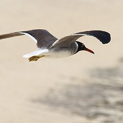 IMG_5712