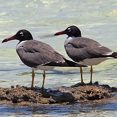 IMG_5718