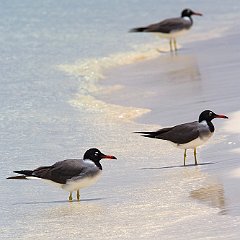 IMG_5733