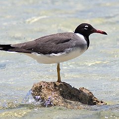 IMG_5767