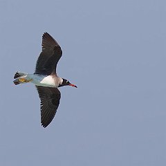 IMG_5795