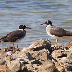 IMG_5802