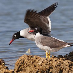 IMG_5831