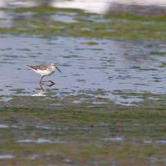 IMG_6371