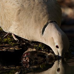 IMG_5894