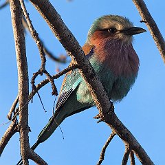 IMG_9808