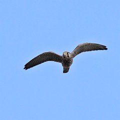 IMG_8280