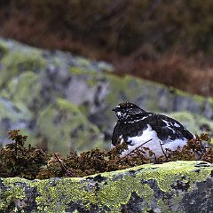 IMG_8802