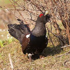 IMG_4450